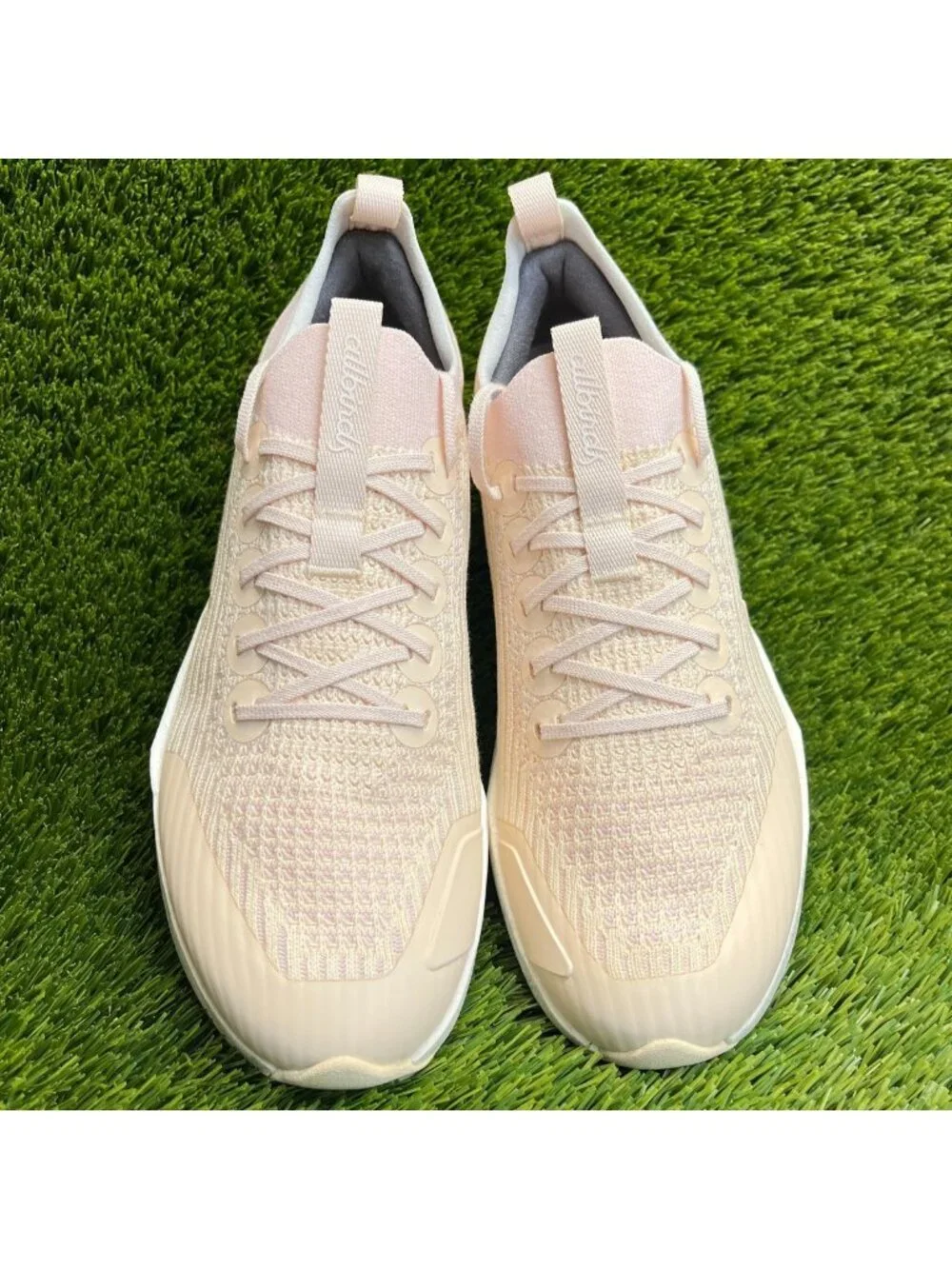 allbirds please review